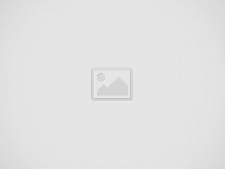 【WordPress】AMPページを作成する方法（【Plug-in】『AMP for WP– Accelerated Mobile Pages』の使い方ー初級編）